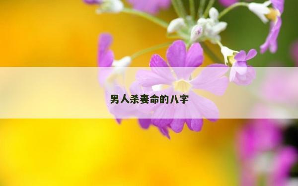男人殺妻命的八字