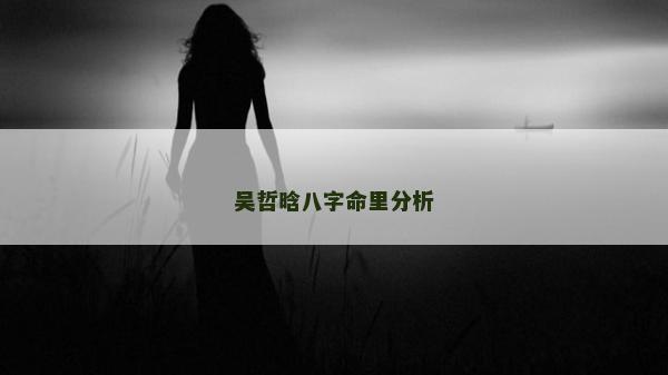吳哲晗八字命里分析