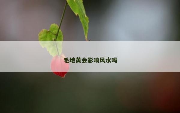 毛地黃會影響風水嗎