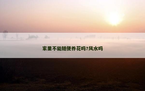 家里不能隨便養(yǎng)花嗎?風(fēng)水嗎