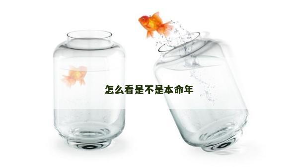 怎么看是不是本命年
