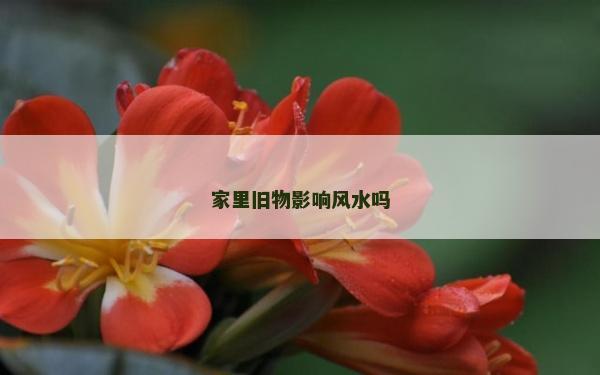 家里舊物影響風水嗎
