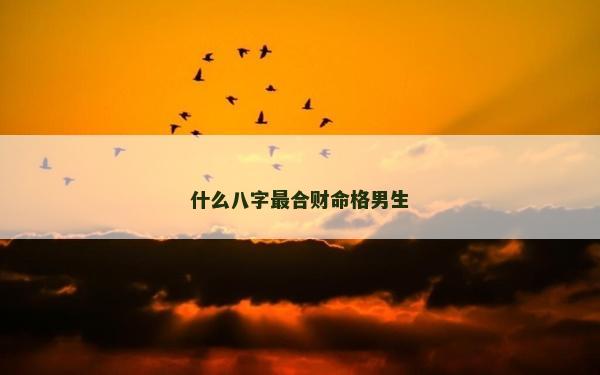 什么八字最合財命格男生