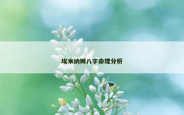 埃米納姆八字命理分析