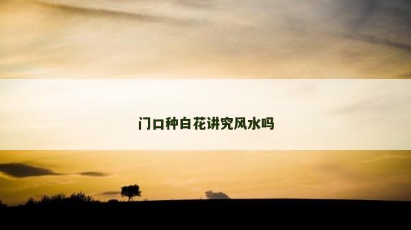 門口種白花講究風水嗎
