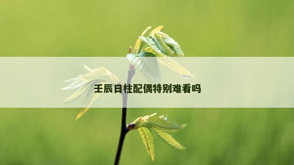 壬辰日柱配偶特別難看嗎