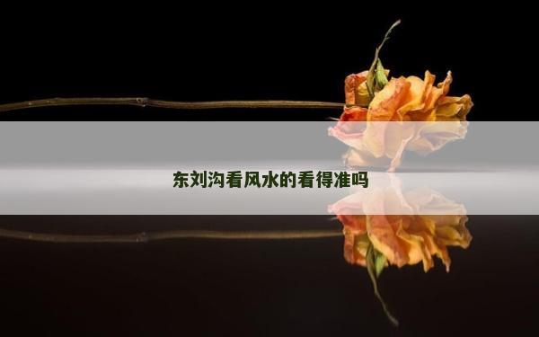 東劉溝看風水的看得準嗎