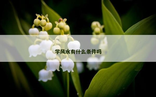 學風水有什么條件嗎