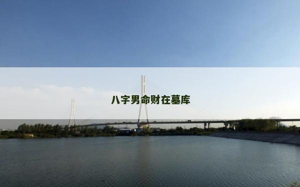 八字男命財在墓庫
