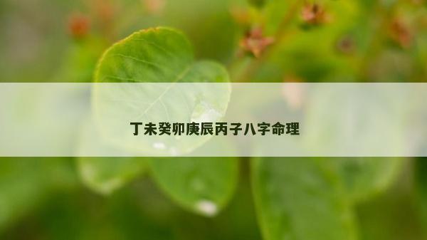 丁未癸卯庚辰丙子八字命理