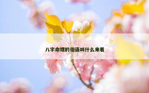 八字命理的俗語(yǔ)叫什么來(lái)著