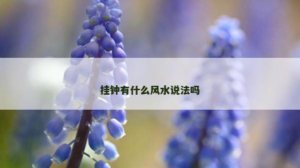 掛鐘有什么風(fēng)水說(shuō)法嗎
