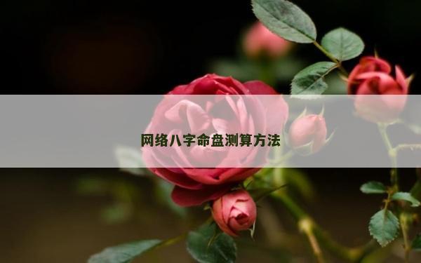 網絡八字命盤測算方法