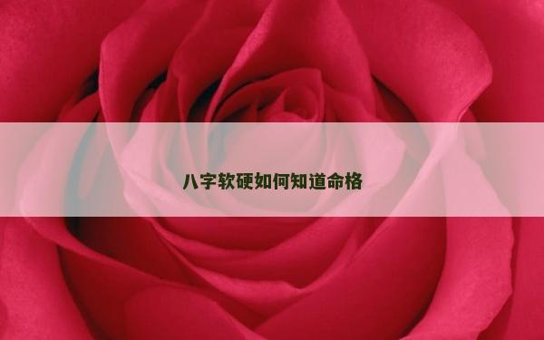 八字軟硬如何知道命格