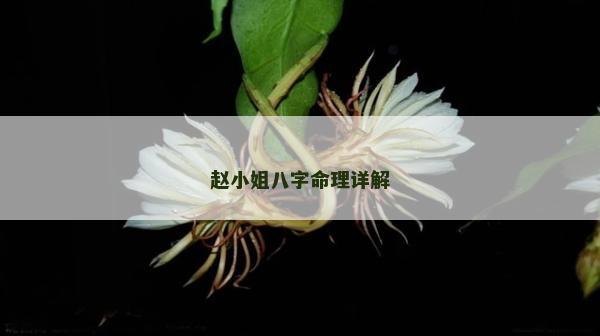 趙小姐八字命理詳解
