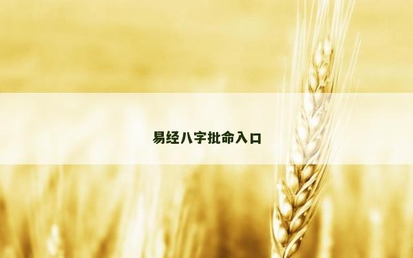 易經八字批命入口