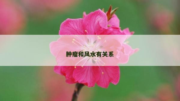 腫瘤和風水有關系