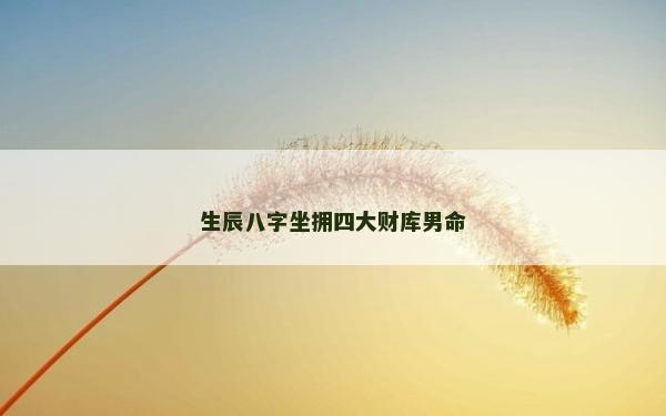 生辰八字坐擁四大財庫男命