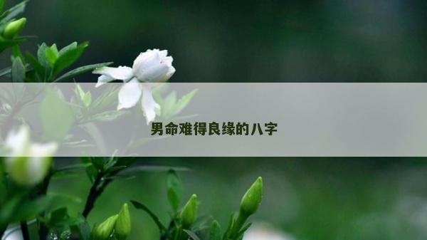 男命難得良緣的八字