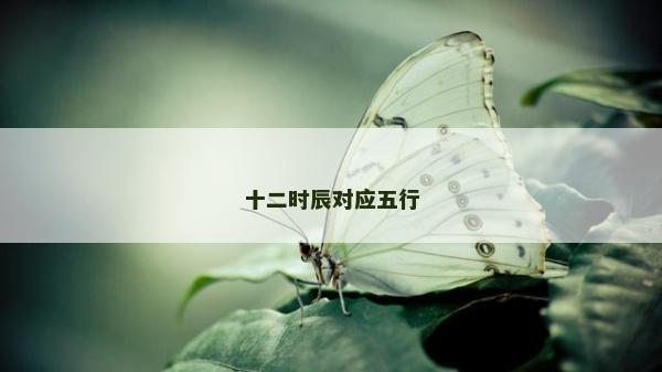 十二時辰對應(yīng)五行 十二時辰對應(yīng)五行