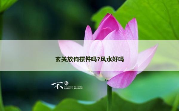 玄關放狗擺件嗎?風水好嗎
