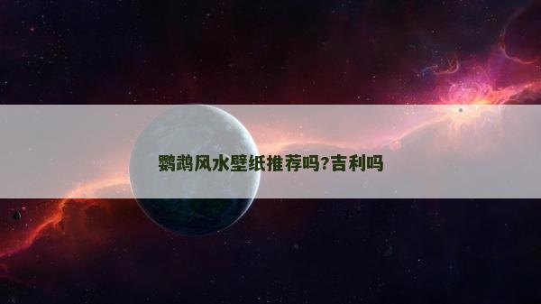 鸚鵡風水壁紙推薦嗎?吉利嗎