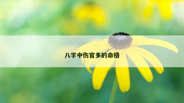 八字中傷官多的命格