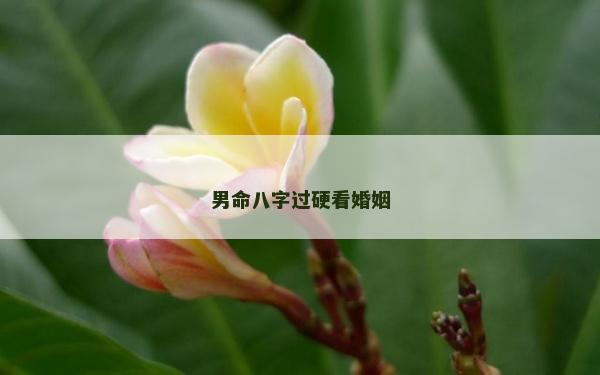 男命八字過(guò)硬看婚姻