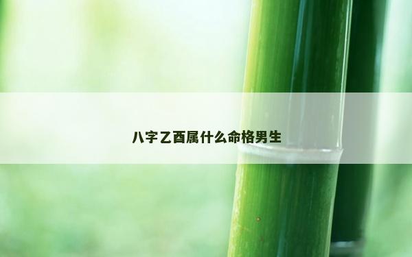 八字乙酉屬什么命格男生