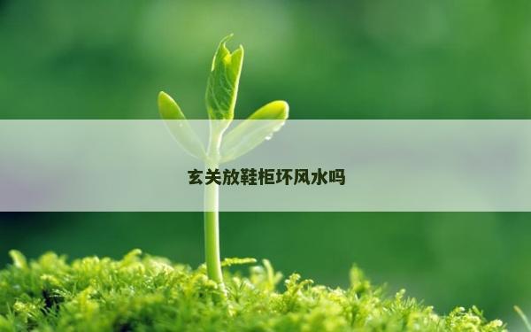 玄關放鞋柜壞風水嗎