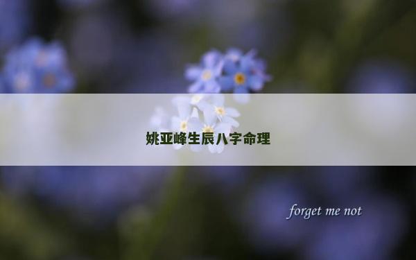 姚亞峰生辰八字命理