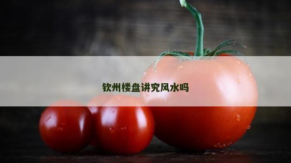 欽州樓盤講究風水嗎