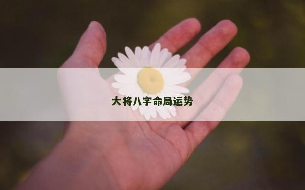 大將八字命局運勢