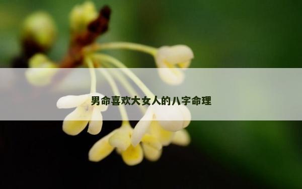 男命喜歡大女人的八字命理