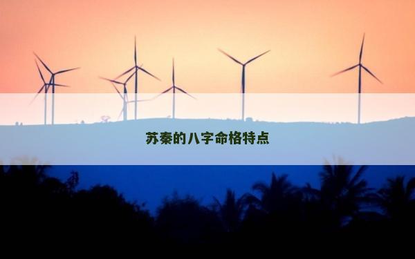 蘇秦的八字命格特點