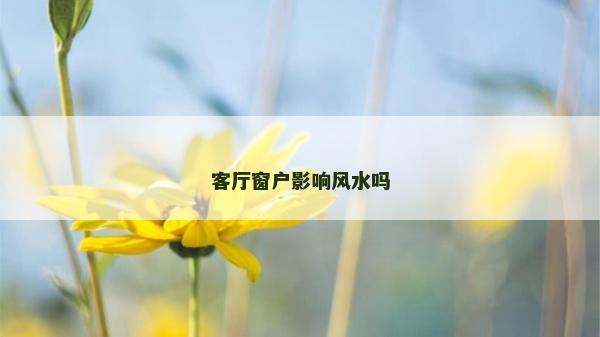 客廳窗戶影響風(fēng)水嗎