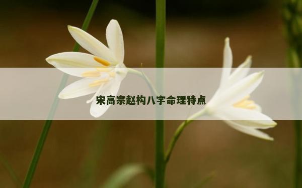 宋高宗趙構八字命理特點