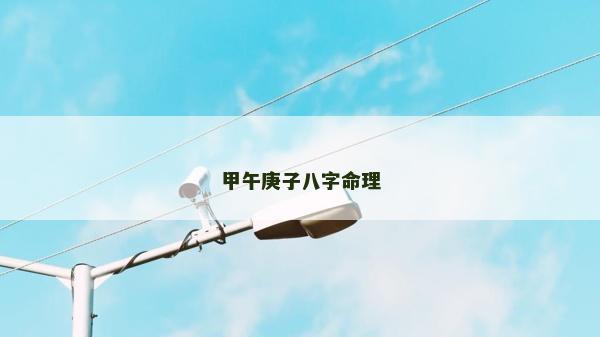 甲午庚子八字命理