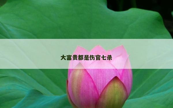 大富貴都是傷官七殺