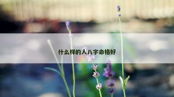 什么樣的人八字命格好