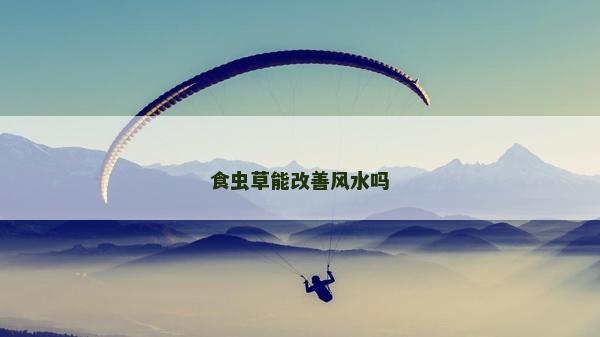 食蟲草能改善風(fēng)水嗎