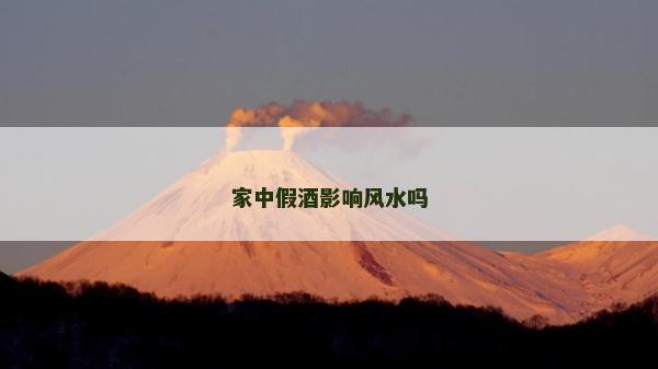 家中假酒影響風水嗎
