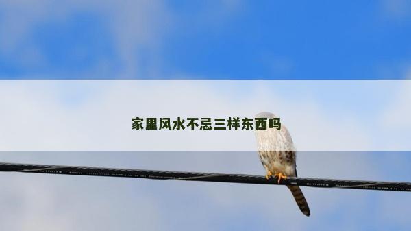 家里風水不忌三樣東西嗎