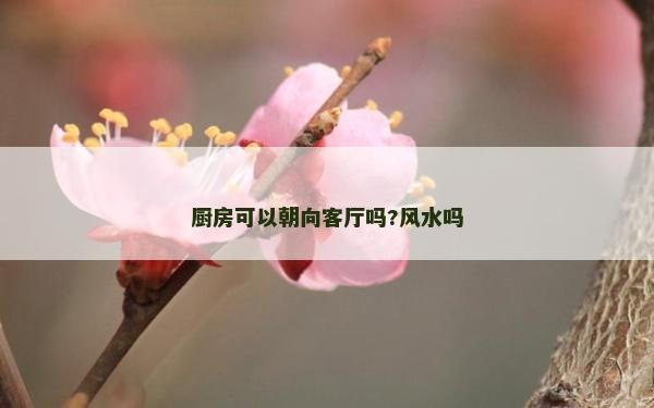 廚房可以朝向客廳嗎?風水嗎