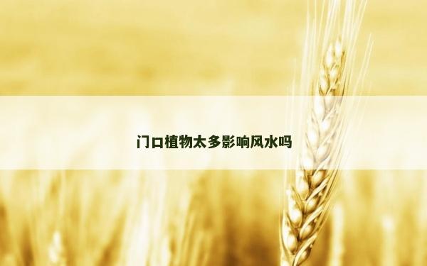 門口植物太多影響風水嗎
