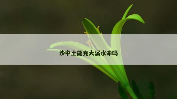 沙中土能克大溪水命嗎