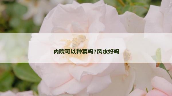 內(nèi)院可以種菜嗎?風(fēng)水好嗎 內(nèi)院可以種菜嗎?風(fēng)水好嗎
