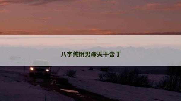 八字純陰男命天干含丁