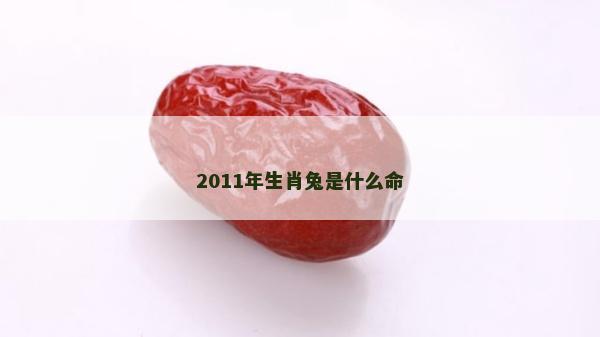 2011年生肖兔是什么命