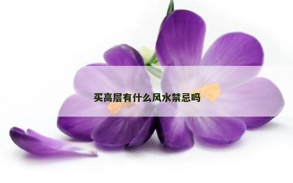 買高層有什么風(fēng)水禁忌嗎